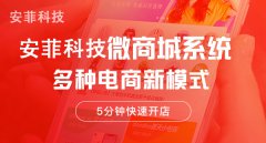 微商城系統哪個好