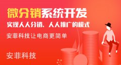 開(kāi)發(fā)微分銷系統(tǒng)有哪些方案