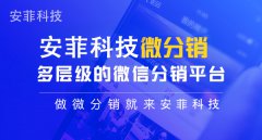影響分銷(xiāo)系統(tǒng)開(kāi)發(fā)因素有哪些
