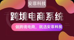 跨境電商系統(tǒng)開發(fā)軟件價格多少